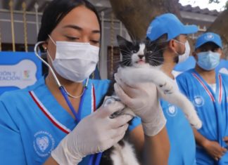 Más de 150 mascotas fueron atendidas en jornada de bienestar animal en Malambo
