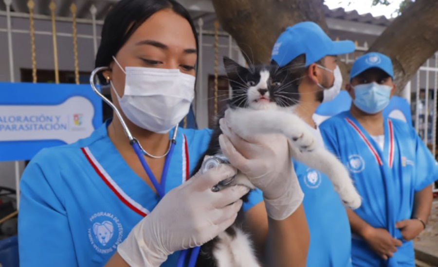 Atlantico_Mascotas-Vacunas Más de 150 mascotas fueron atendidas en jornada de bienestar animal en Malambo
