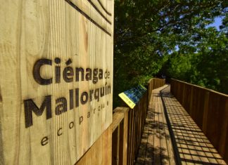Ecoparque Mallorquín, uno de los ecosistemas más valiosos de Barranquilla