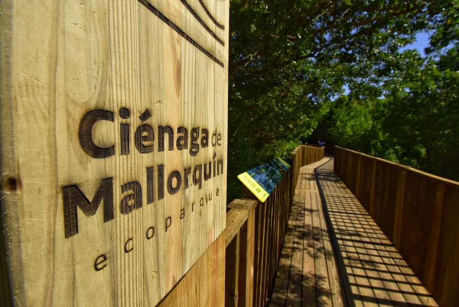 Ecoparque Mallorquín, uno de los ecosistemas más valiosos de Barranquilla