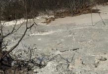 Grave daño ambiental en la Ciénaga de Mallorquín: denuncian vertimientos ilegales y hay dos capturados