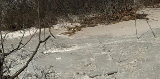 Grave daño ambiental en la Ciénaga de Mallorquín: denuncian vertimientos ilegales y hay dos capturados