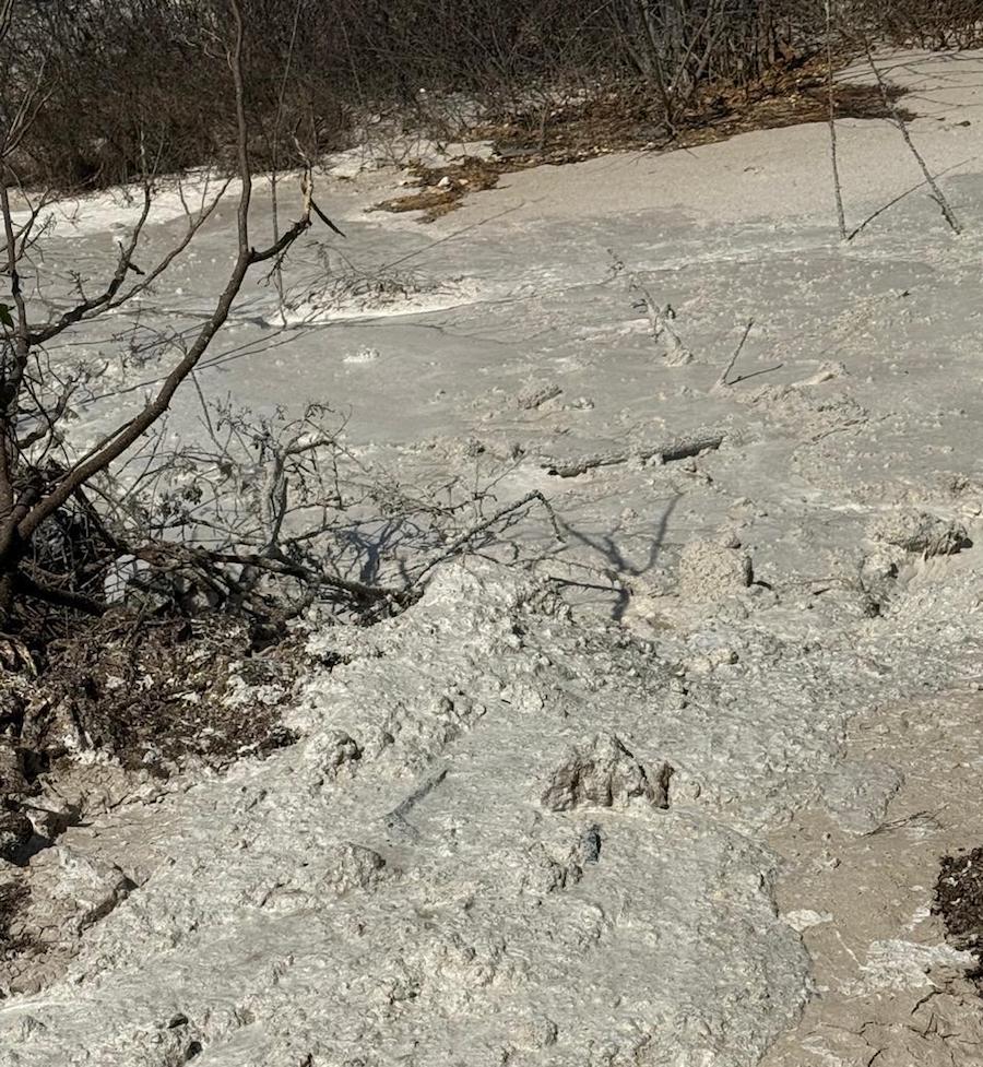 Grave daño ambiental en la Ciénaga de Mallorquín: denuncian vertimientos ilegales y hay dos capturados