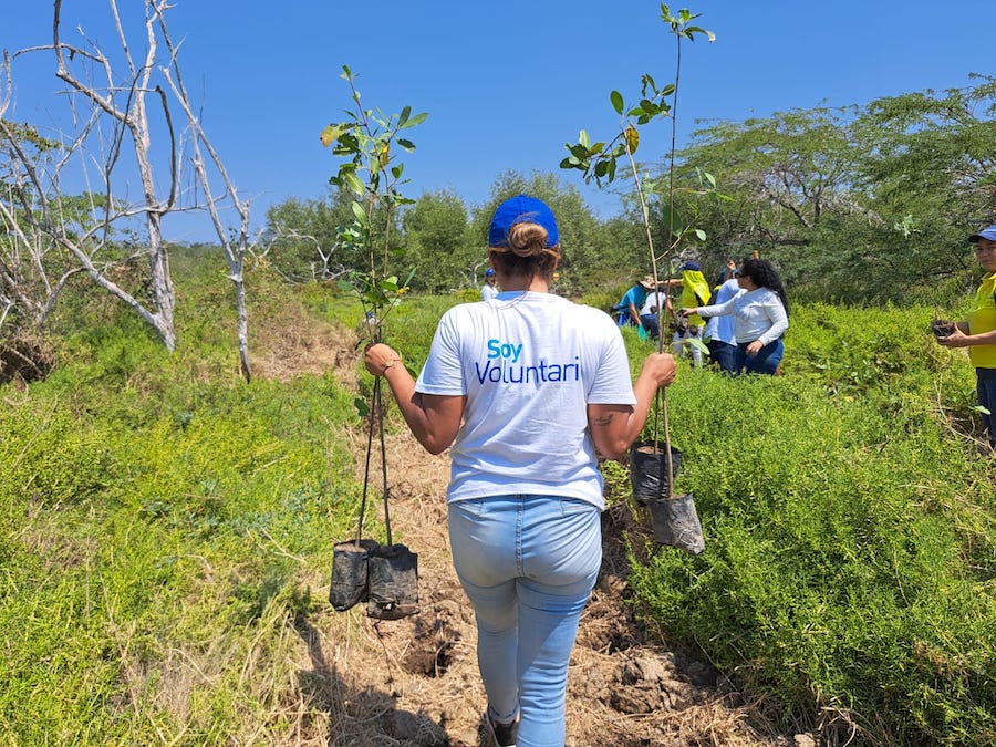 Cerca de 1,500 voluntarios SURA de América Latina sumaron voluntades en una jornada por el cuidado del medio ambiente