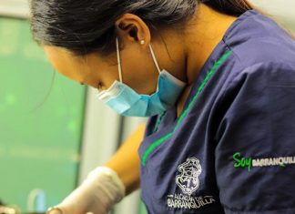 Patrulla animal ha logrado la esterilización en más de 1.200 perros y gatos