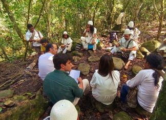 Empresas podrán compensar su huella de carbono con tokens de biodiversidad