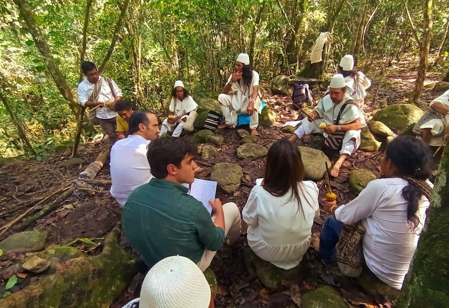 Empresas podrán compensar su huella de carbono con tokens de biodiversidad