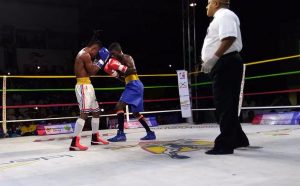 voces365_boxeo