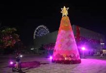 Barranquilla encendió su Navidad: así brilló el Gran Malecón ó el Gran Malecón