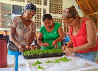 Barranquilla tiene una nueva área fértil, la huerta comunitaria del barrio La Paz