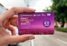 Transmetro cambia su tarjeta: Classic va hasta 2025 y la nueva rige desde 2026